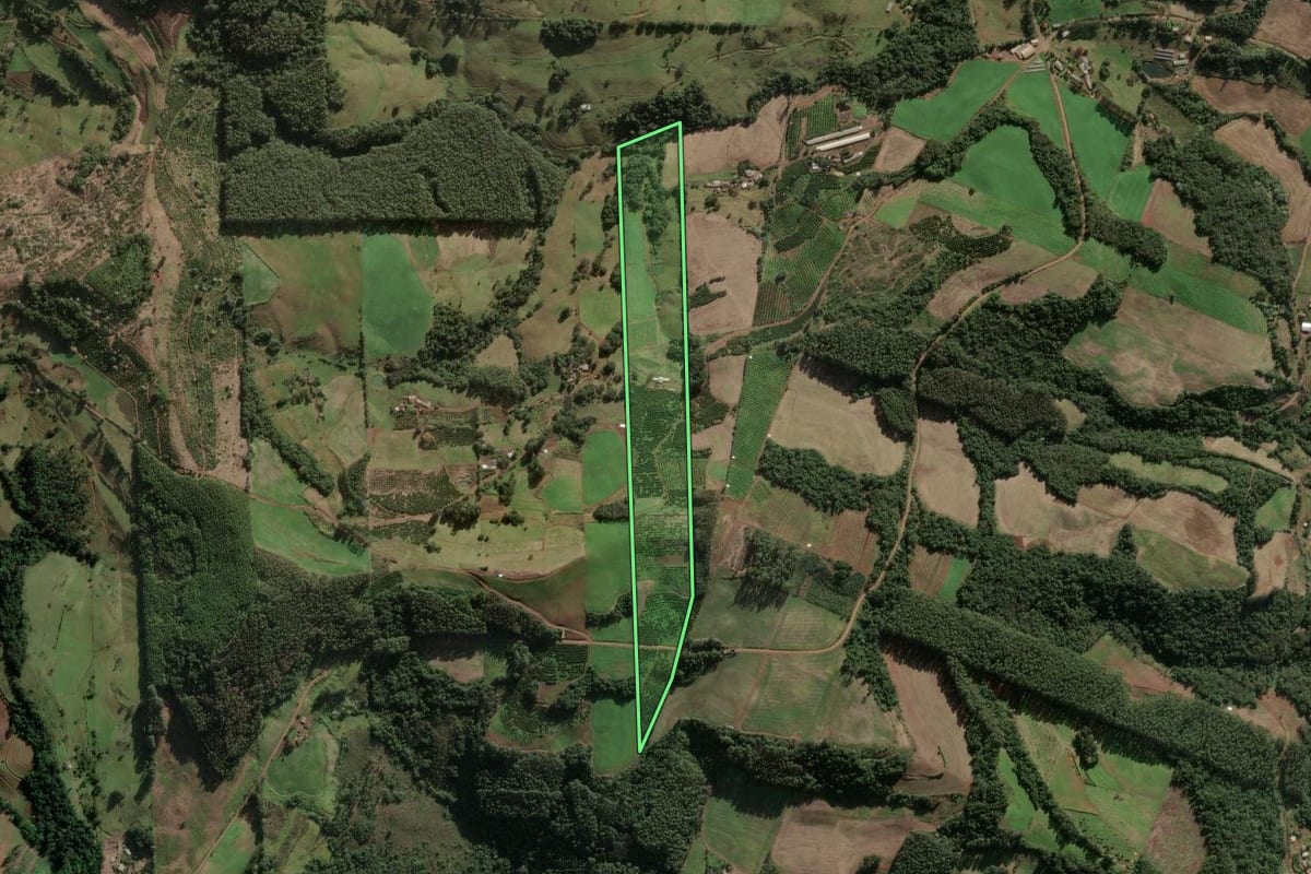 Imagem de satélite do imóvel rural em Aratiba (RS), com o contorno declarado no CAR desenhado por cima.