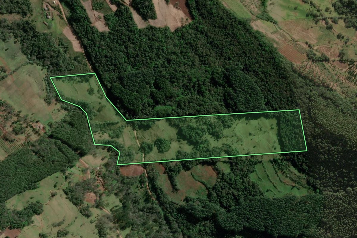 Imagem de satélite do imóvel rural em Aratiba (RS), com o contorno declarado no CAR desenhado por cima.