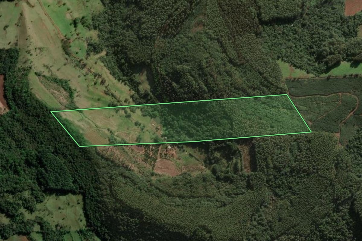 Imagem de satélite do imóvel rural em Aratiba (RS), com o contorno declarado no CAR desenhado por cima.