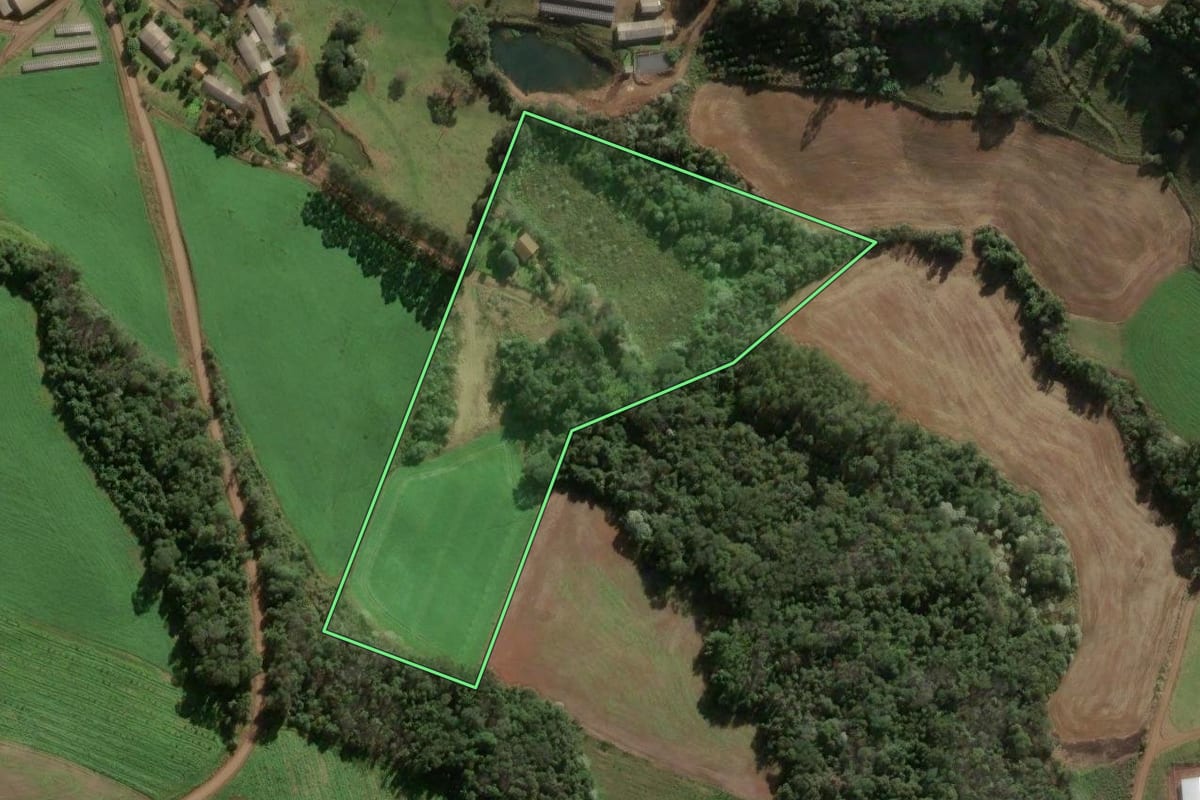 Imagem de satélite do imóvel rural em Aratiba (RS), com o contorno declarado no CAR desenhado por cima.