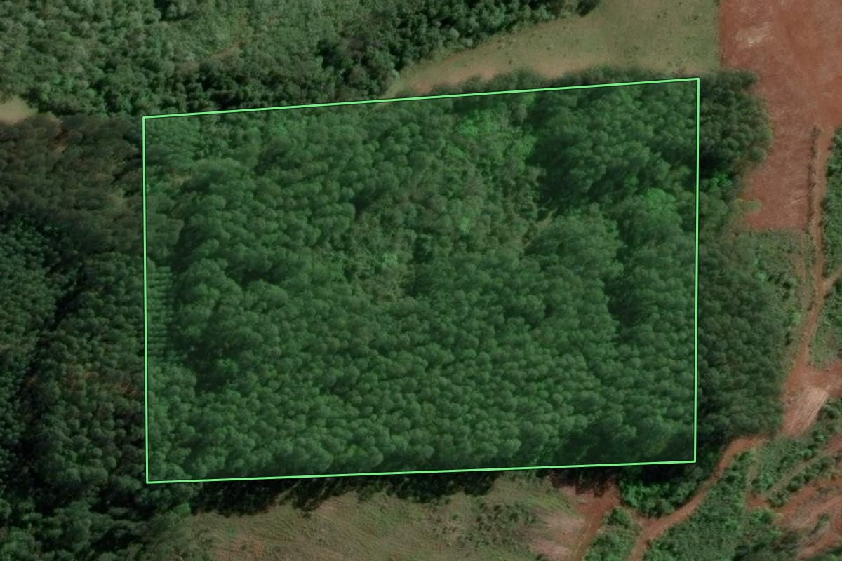 Imagem de satélite do imóvel rural em Aratiba (RS), com o contorno declarado no CAR desenhado por cima.