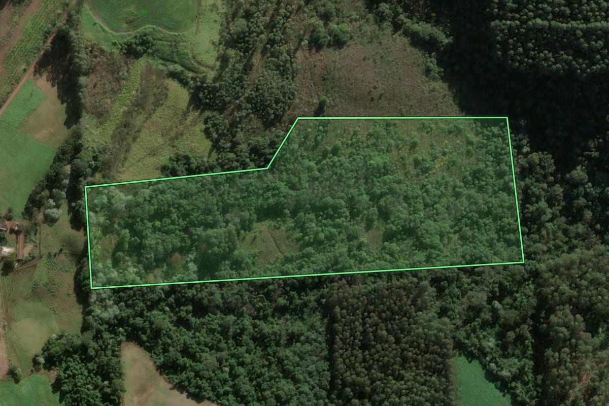 Imagem de satélite do imóvel rural em Aratiba (RS), com o contorno declarado no CAR desenhado por cima.