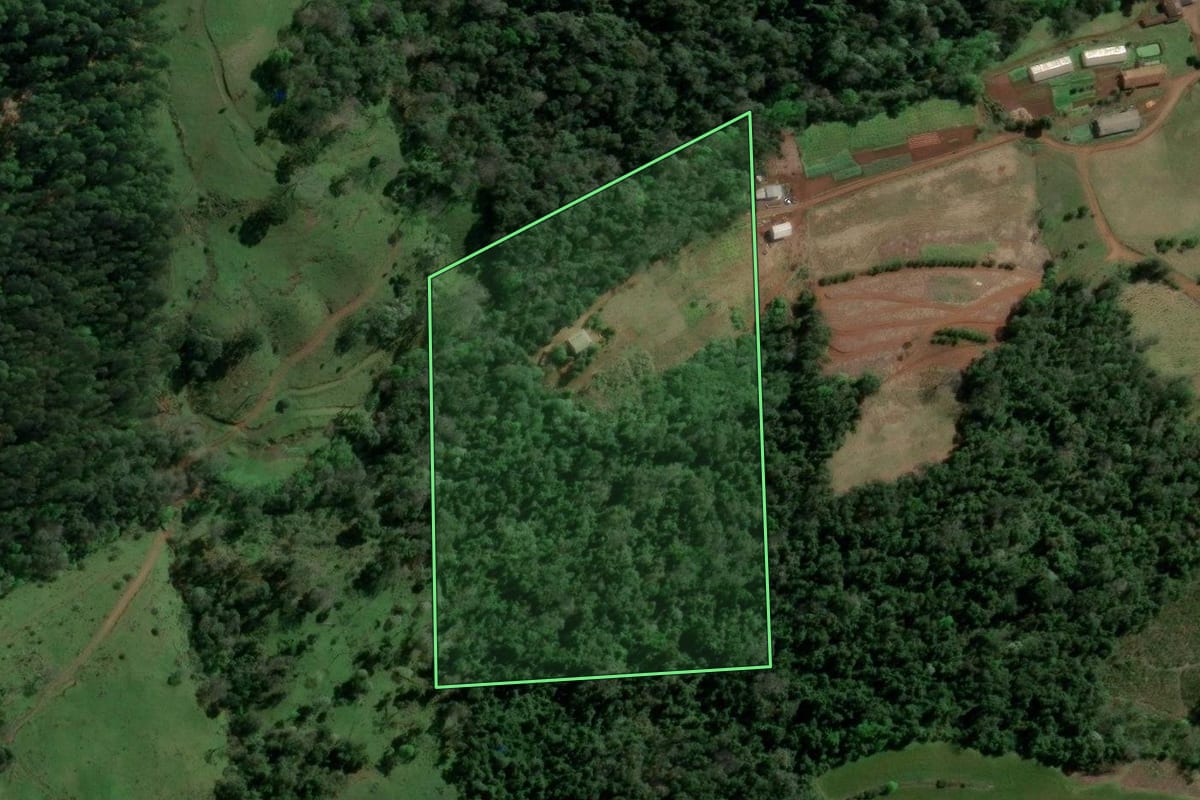 Imagem de satélite do imóvel rural em Aratiba (RS), com o contorno declarado no CAR desenhado por cima.