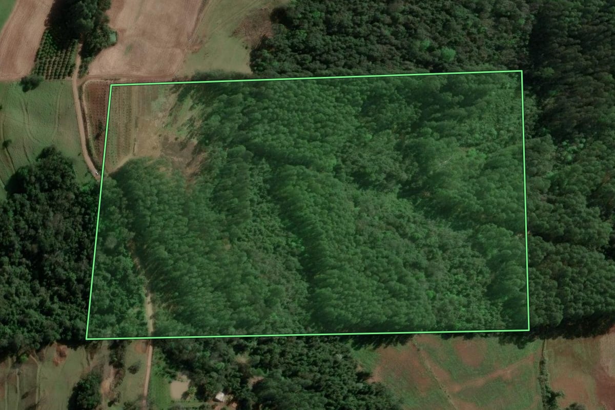 Imagem de satélite do imóvel rural em Aratiba (RS), com o contorno declarado no CAR desenhado por cima.