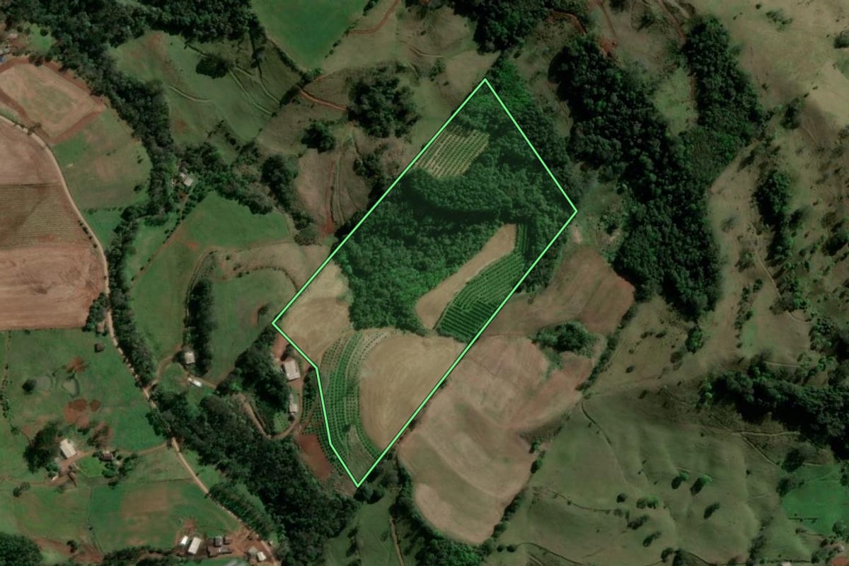 Imagem de satélite do imóvel rural em Aratiba (RS), com o contorno declarado no CAR desenhado por cima.