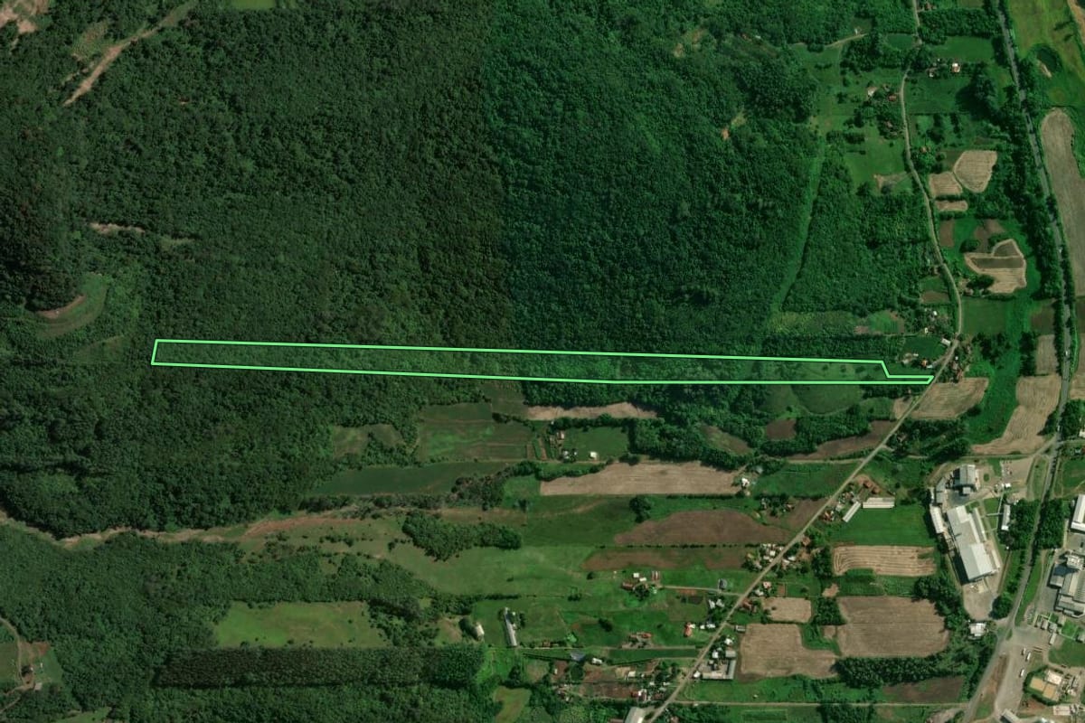 Imagem de satélite do imóvel rural em Arroio do Meio (RS), com o contorno declarado no CAR desenhado por cima.
