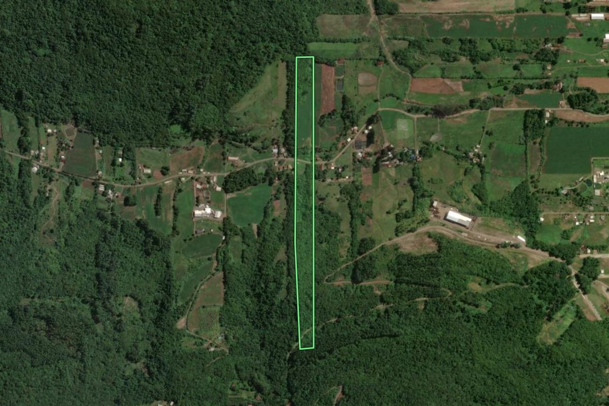 Imagem de satélite do imóvel rural em Arroio do Meio (RS), com o contorno declarado no CAR desenhado por cima.