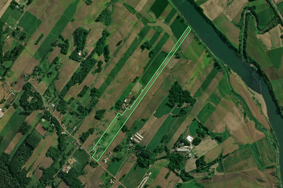 Imagem de satélite do imóvel rural em Arroio do Meio (RS), com o contorno declarado no CAR desenhado por cima.