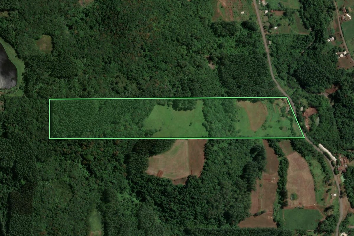 Imagem de satélite do imóvel rural em Arroio do Meio (RS), com o contorno declarado no CAR desenhado por cima.