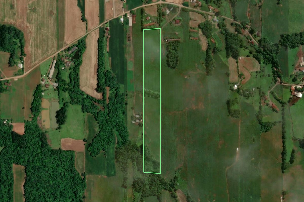 Imagem de satélite do imóvel rural em Arroio do Meio (RS), com o contorno declarado no CAR desenhado por cima.