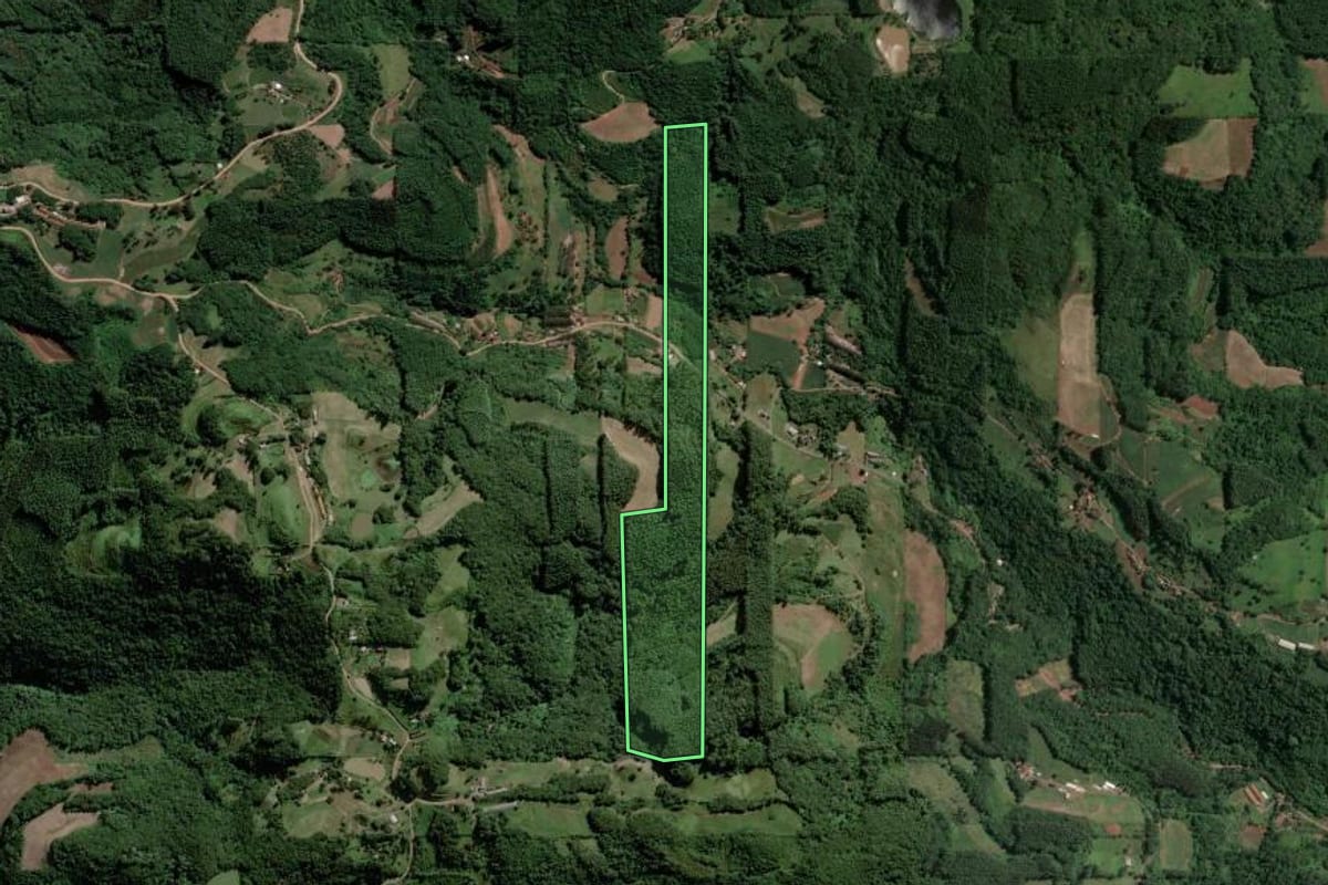 Imagem de satélite do imóvel rural em Arroio do Meio (RS), com o contorno declarado no CAR desenhado por cima.