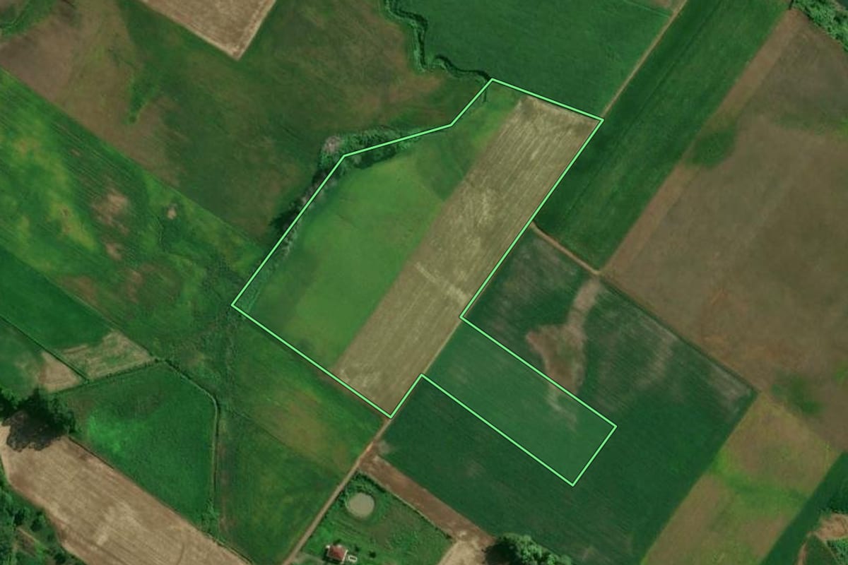 Imagem de satélite do imóvel rural em Arroio do Meio (RS), com o contorno declarado no CAR desenhado por cima.