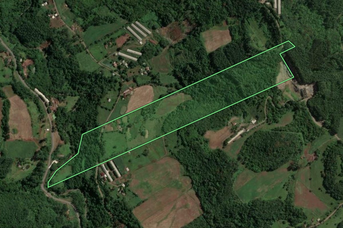 Imagem de satélite do imóvel rural em Arroio do Meio (RS), com o contorno declarado no CAR desenhado por cima.