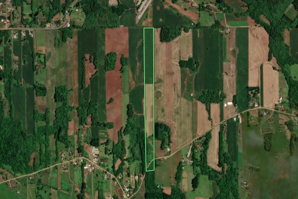 Imagem de satélite do imóvel rural em Arroio do Meio (RS), com o contorno declarado no CAR desenhado por cima.