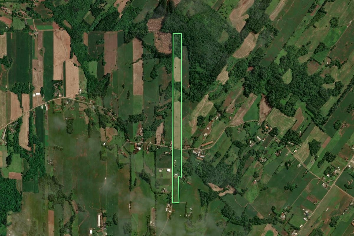 Imagem de satélite do imóvel rural em Arroio do Meio (RS), com o contorno declarado no CAR desenhado por cima.
