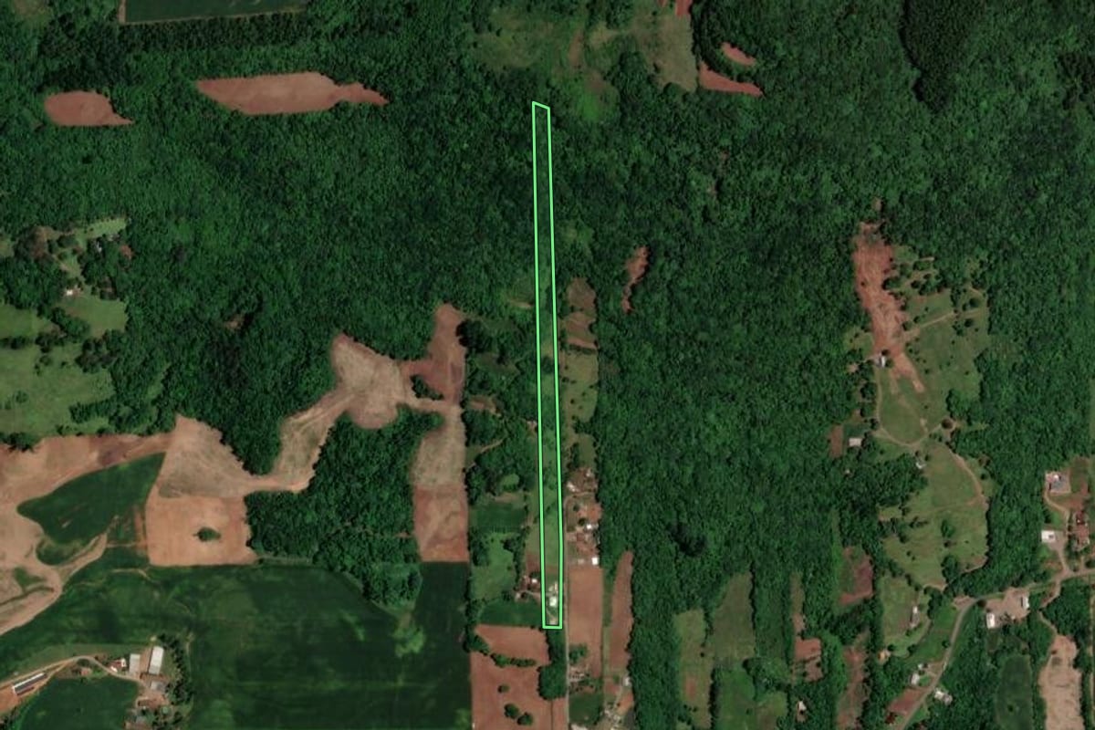 Imagem de satélite do imóvel rural em Arroio do Meio (RS), com o contorno declarado no CAR desenhado por cima.