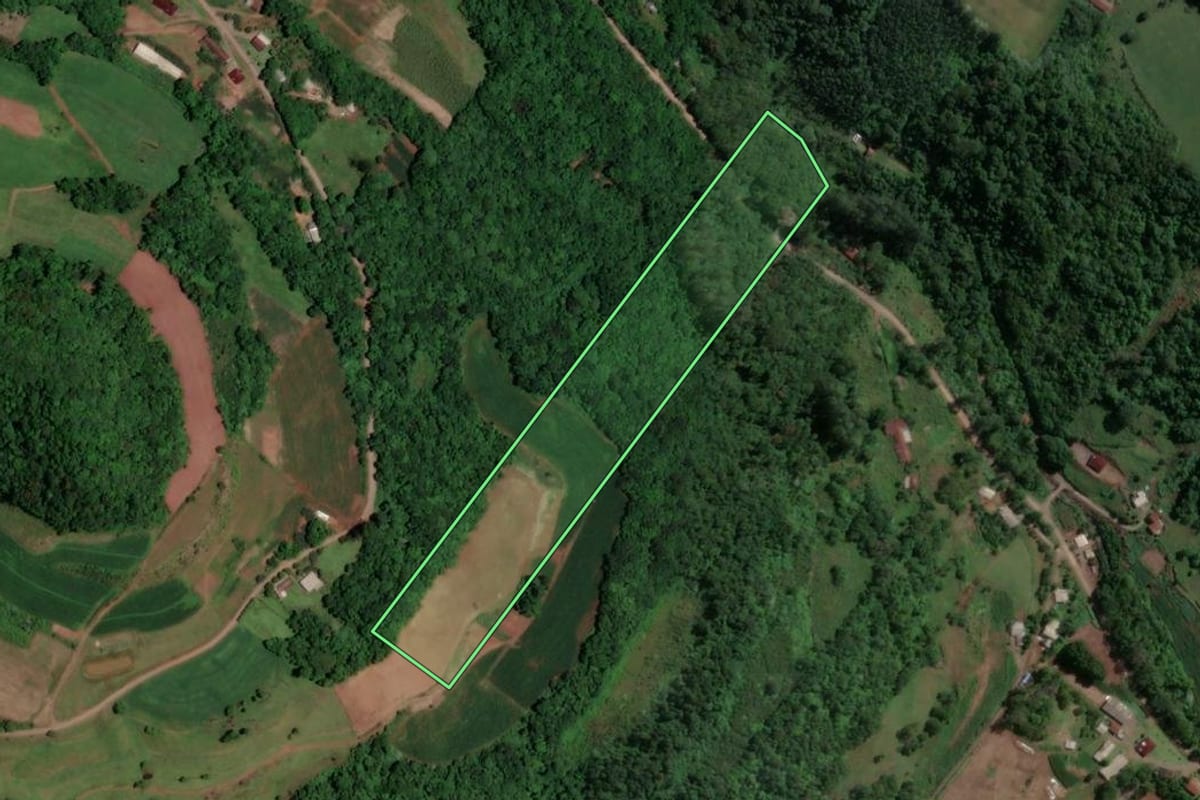 Imagem de satélite do imóvel rural em Arroio do Meio (RS), com o contorno declarado no CAR desenhado por cima.