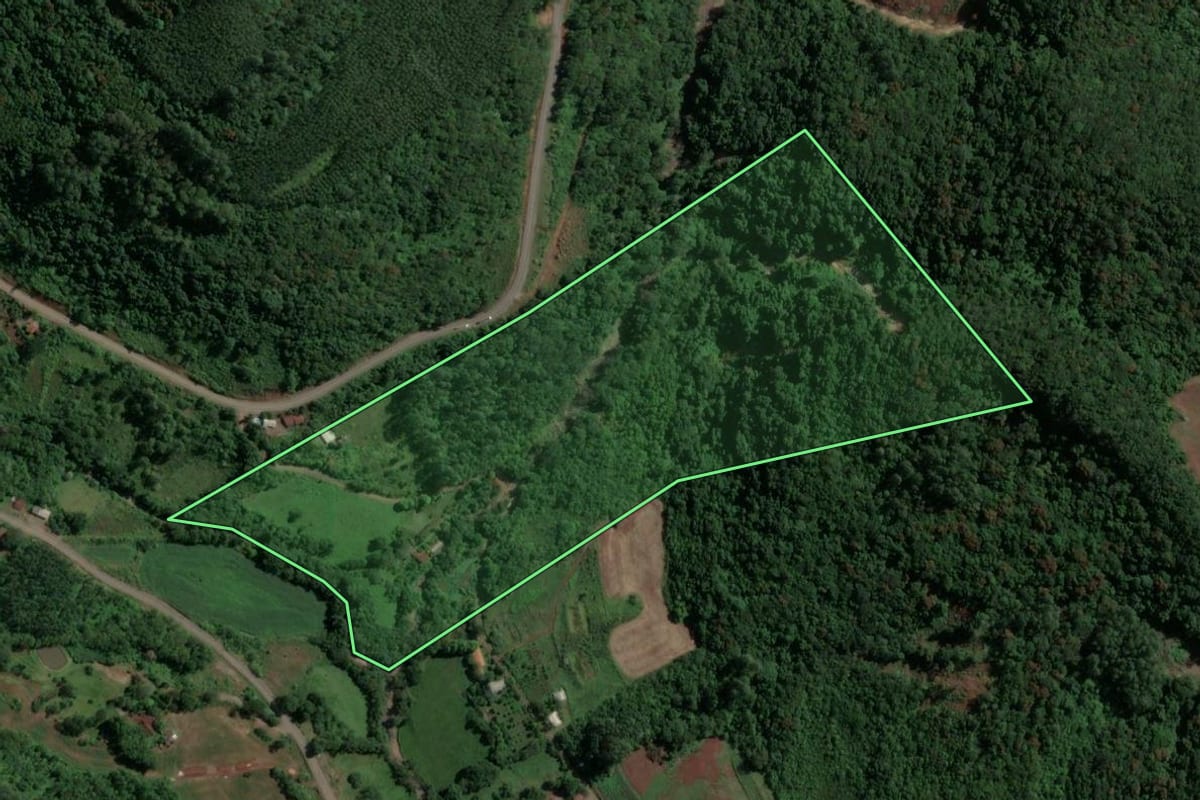Imagem de satélite do imóvel rural em Arroio do Meio (RS), com o contorno declarado no CAR desenhado por cima.