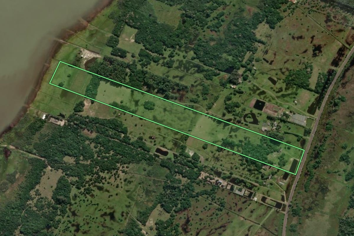 Imagem de satélite do imóvel rural em Arroio do Sal (RS), com o contorno declarado no CAR desenhado por cima.