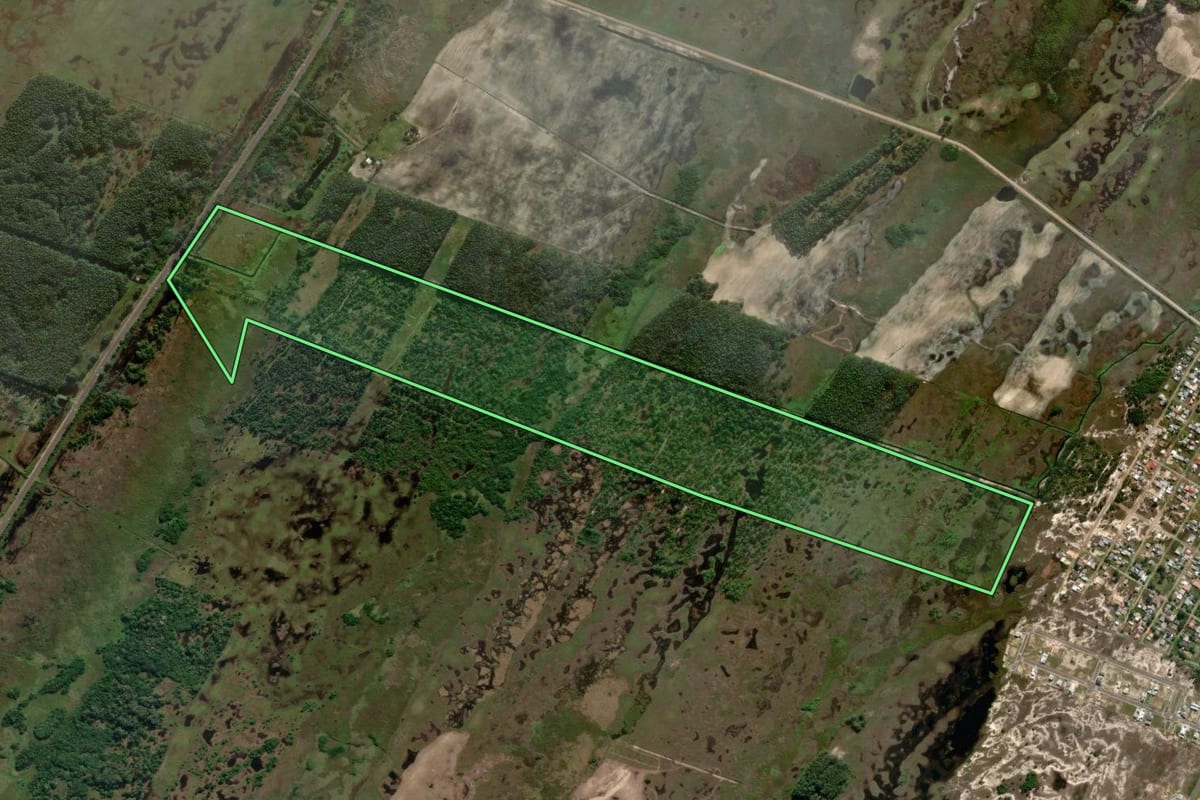 Imagem de satélite do imóvel rural em Arroio do Sal (RS), com o contorno declarado no CAR desenhado por cima.