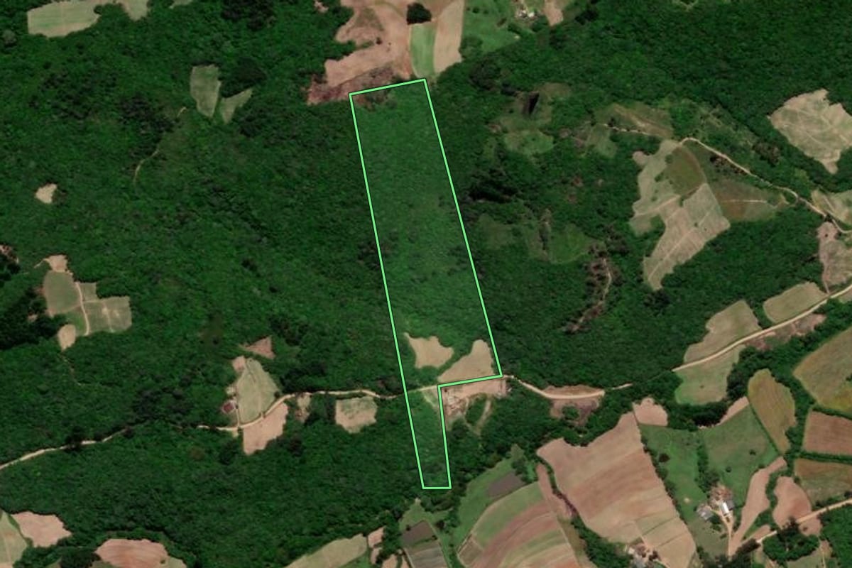 Imagem de satélite do imóvel rural em Arroio do Padre (RS), com o contorno declarado no CAR desenhado por cima.
