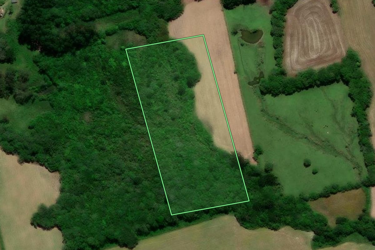 Imagem de satélite do imóvel rural em Arroio do Padre (RS), com o contorno declarado no CAR desenhado por cima.