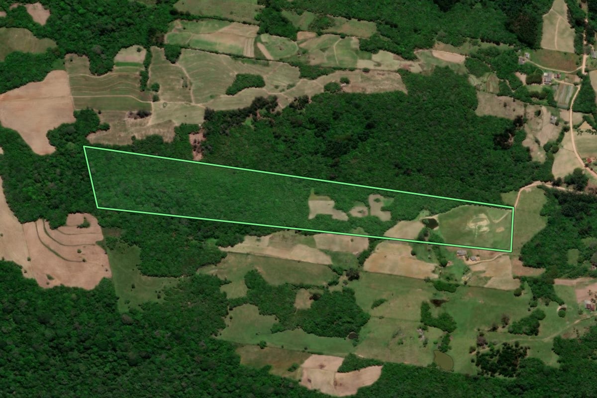 Imagem de satélite do imóvel rural em Arroio do Padre (RS), com o contorno declarado no CAR desenhado por cima.
