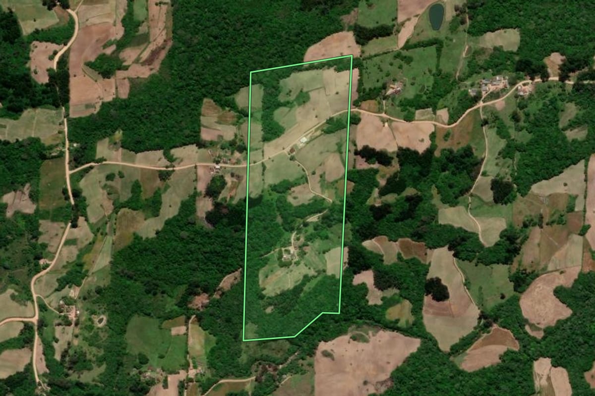 Imagem de satélite do imóvel rural em Arroio do Padre (RS), com o contorno declarado no CAR desenhado por cima.