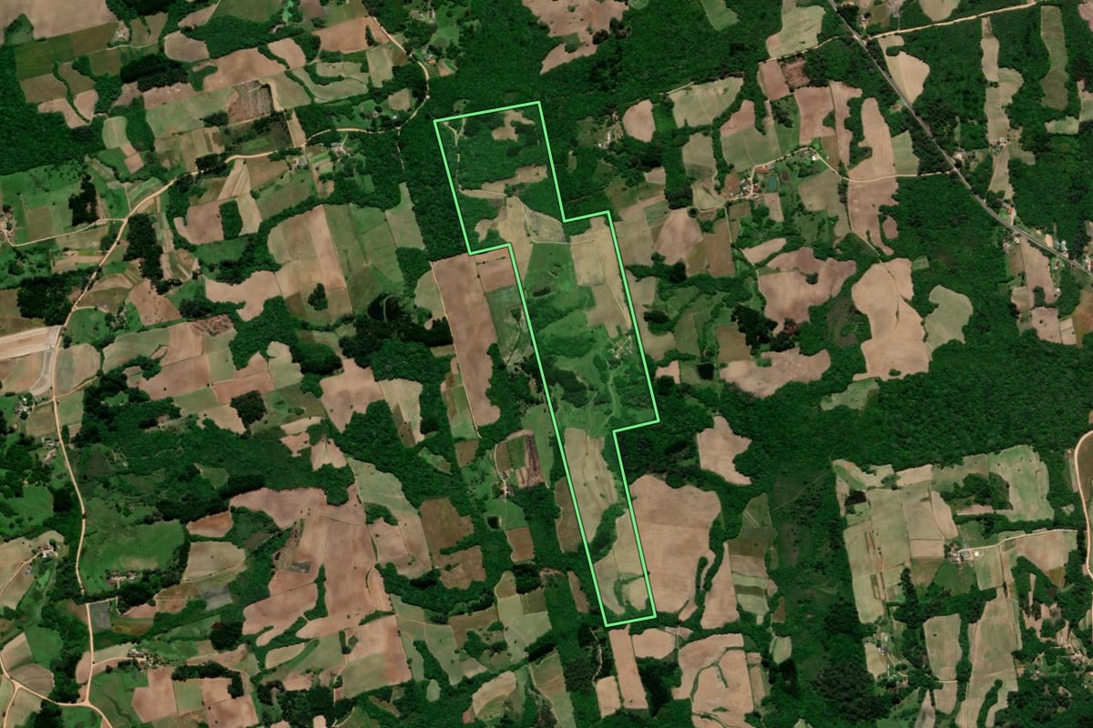 Imagem de satélite do imóvel rural em Arroio do Padre (RS), com o contorno declarado no CAR desenhado por cima.