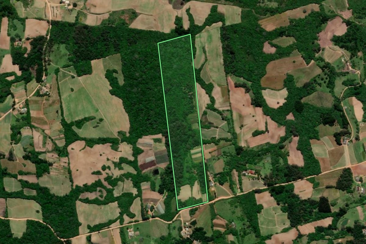 Imagem de satélite do imóvel rural em Arroio do Padre (RS), com o contorno declarado no CAR desenhado por cima.