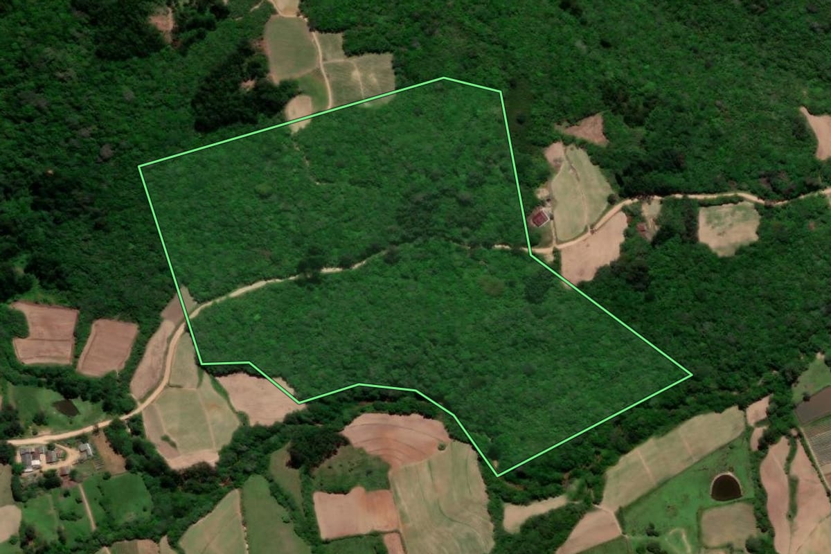 Imagem de satélite do imóvel rural em Arroio do Padre (RS), com o contorno declarado no CAR desenhado por cima.