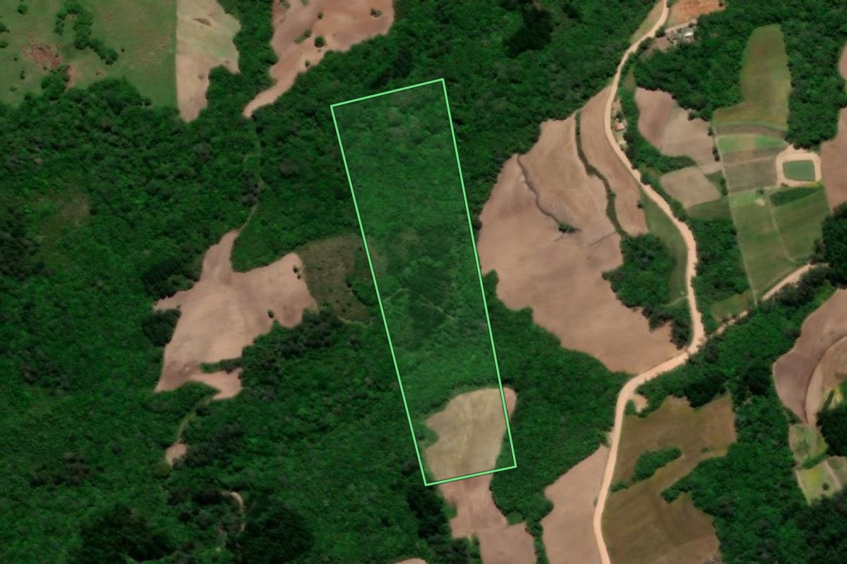 Imagem de satélite do imóvel rural em Arroio do Padre (RS), com o contorno declarado no CAR desenhado por cima.