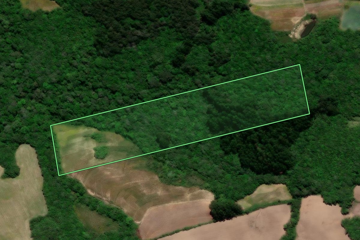 Imagem de satélite do imóvel rural em Arroio do Padre (RS), com o contorno declarado no CAR desenhado por cima.