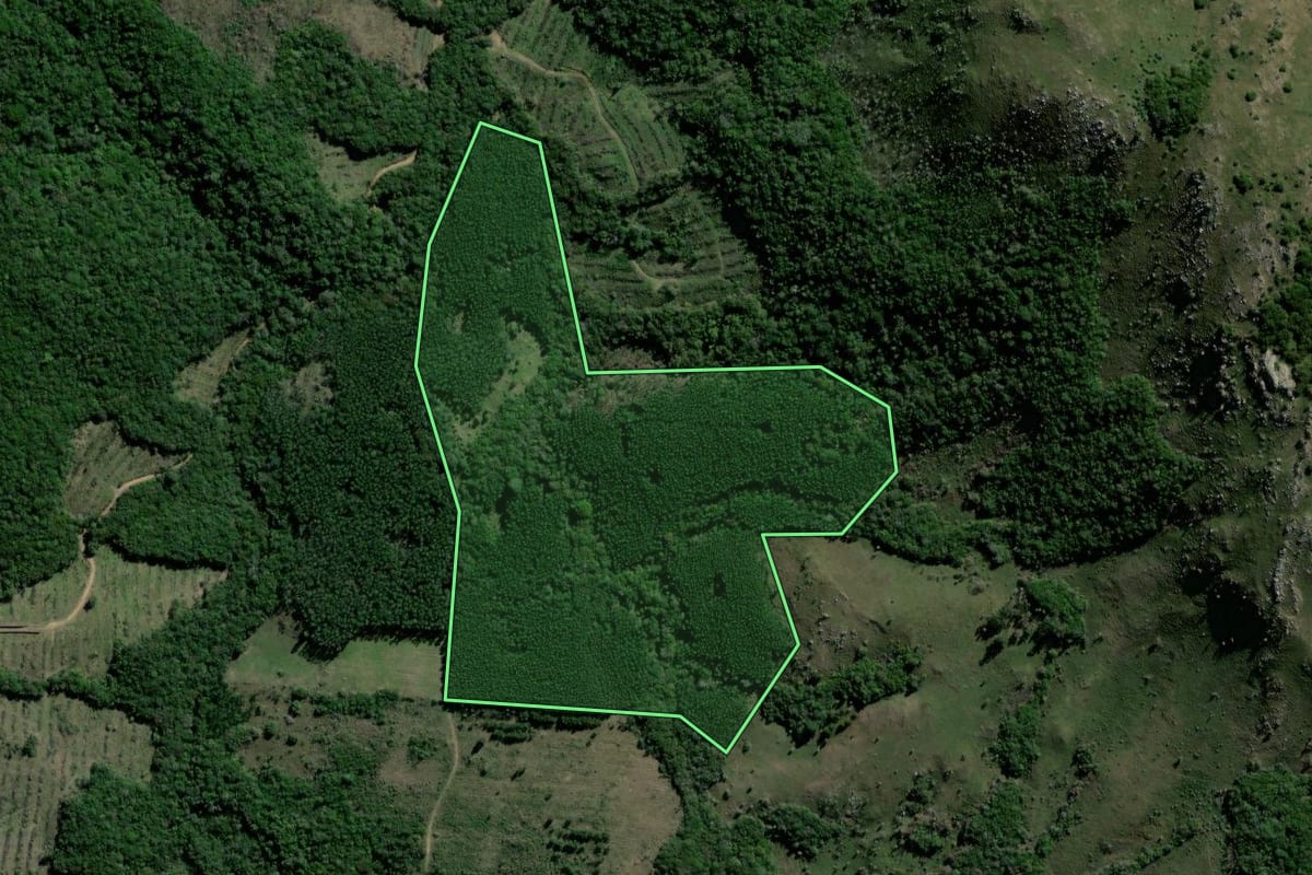 Imagem de satélite do imóvel rural em Arroio dos Ratos (RS), com o contorno declarado no CAR desenhado por cima.