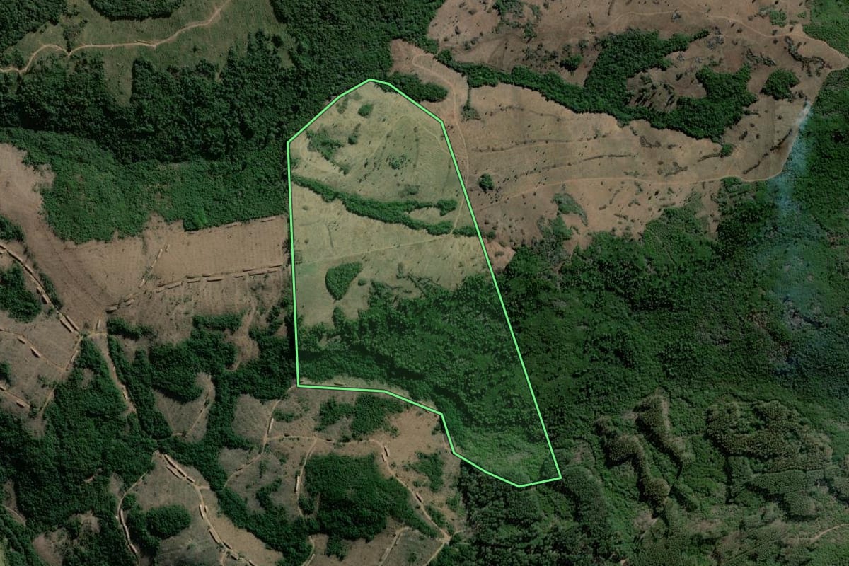 Imagem de satélite do imóvel rural em Arroio dos Ratos (RS), com o contorno declarado no CAR desenhado por cima.