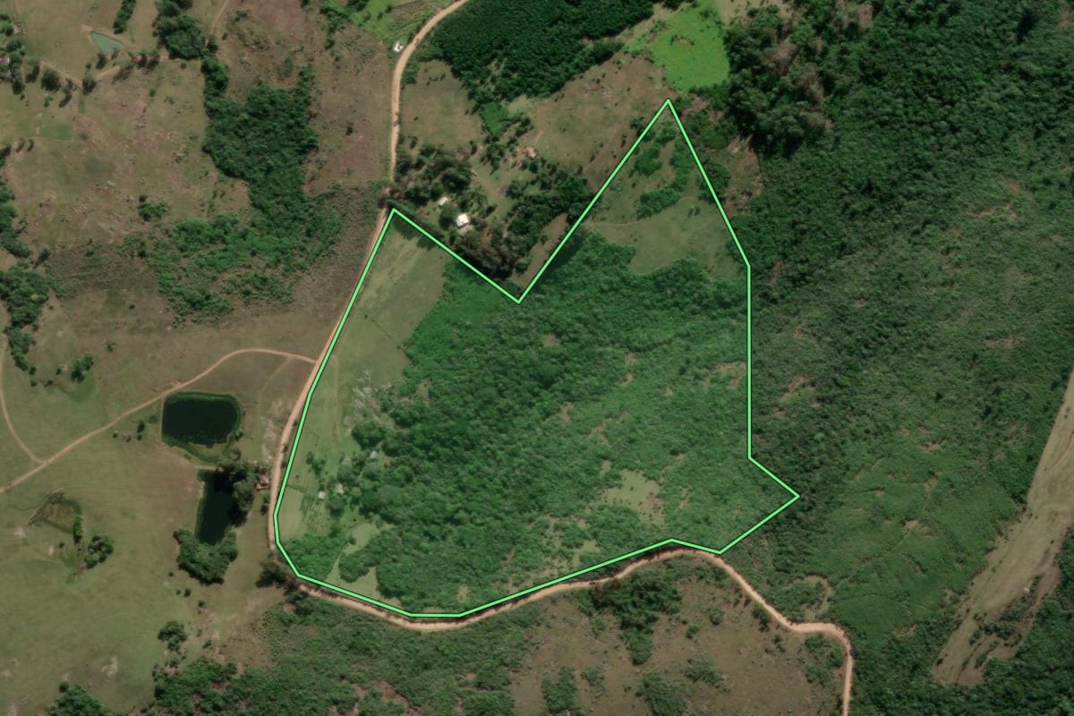 Imagem de satélite do imóvel rural em Arroio dos Ratos (RS), com o contorno declarado no CAR desenhado por cima.