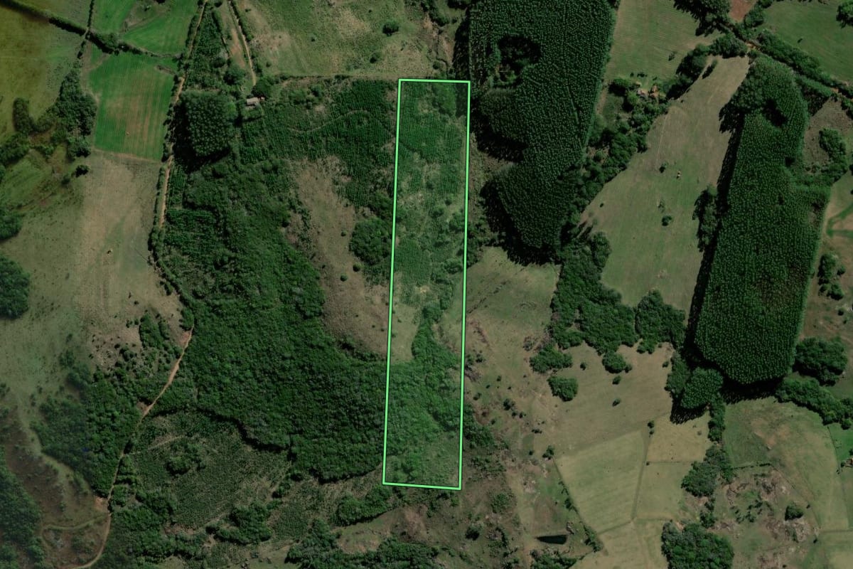 Imagem de satélite do imóvel rural em Arroio dos Ratos (RS), com o contorno declarado no CAR desenhado por cima.