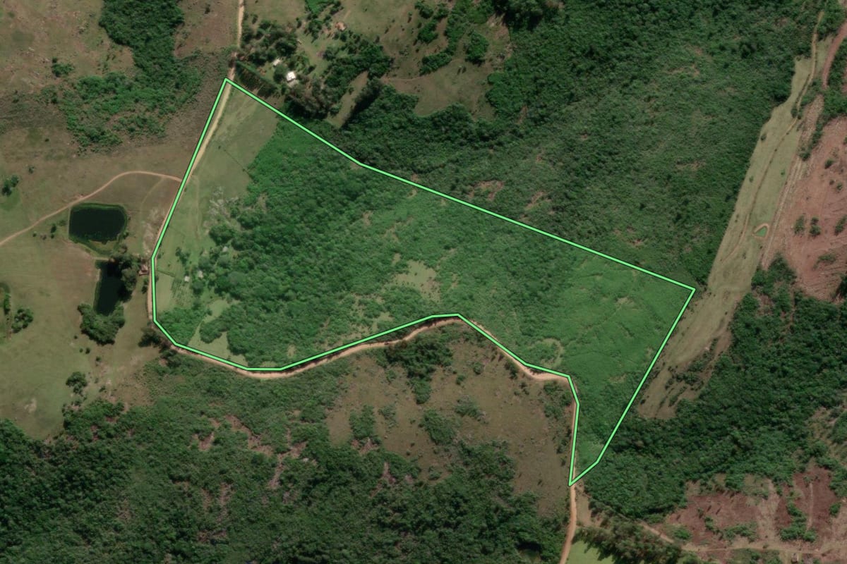 Imagem de satélite do imóvel rural em Arroio dos Ratos (RS), com o contorno declarado no CAR desenhado por cima.