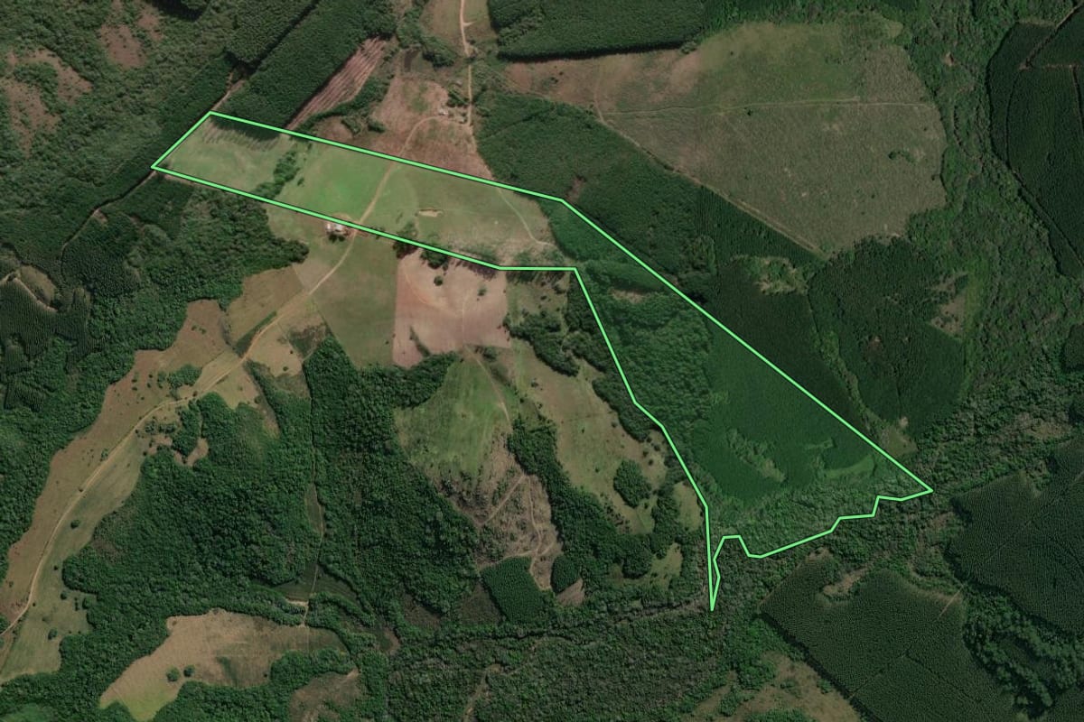 Imagem de satélite do imóvel rural em Arroio dos Ratos (RS), com o contorno declarado no CAR desenhado por cima.