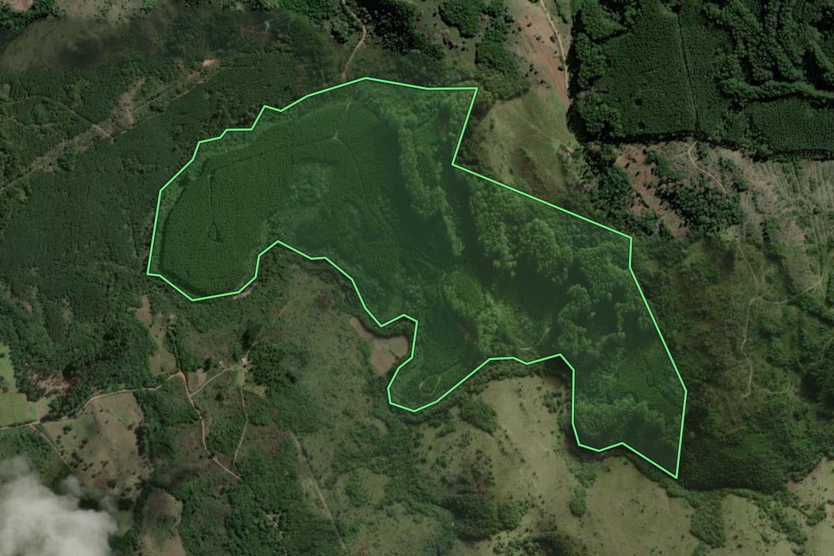 Imagem de satélite do imóvel rural em Arroio dos Ratos (RS), com o contorno declarado no CAR desenhado por cima.