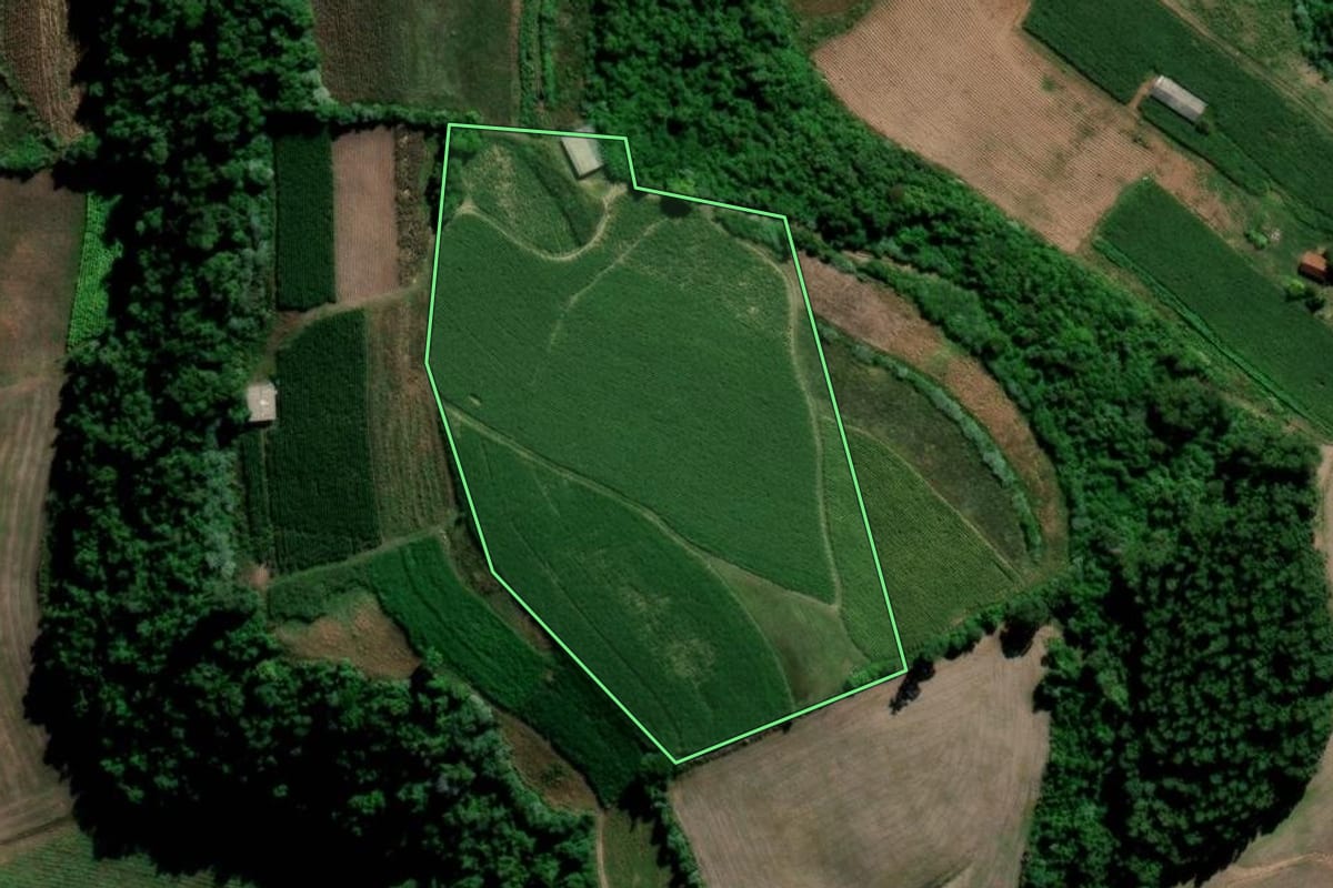 Imagem de satélite do imóvel rural em Arroio do Tigre (RS), com o contorno declarado no CAR desenhado por cima.