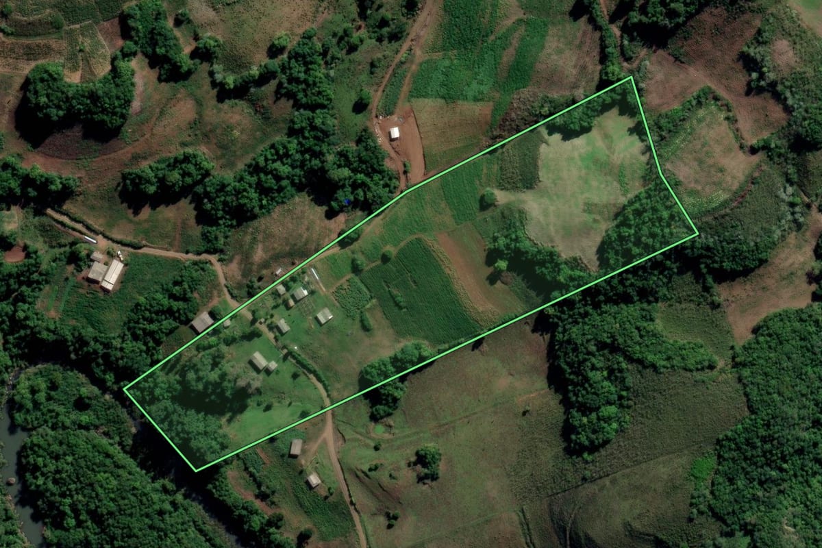 Imagem de satélite do imóvel rural em Arroio do Tigre (RS), com o contorno declarado no CAR desenhado por cima.