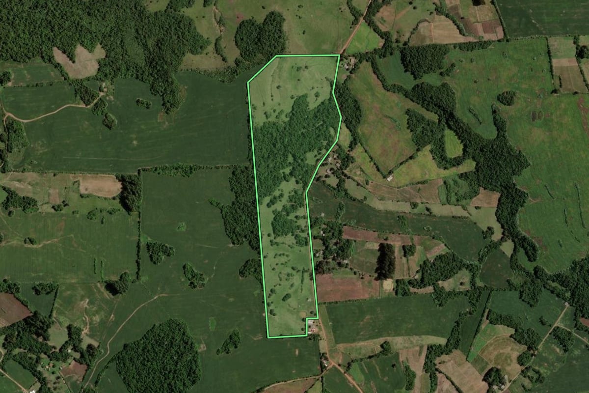 Imagem de satélite do imóvel rural em Arroio do Tigre (RS), com o contorno declarado no CAR desenhado por cima.