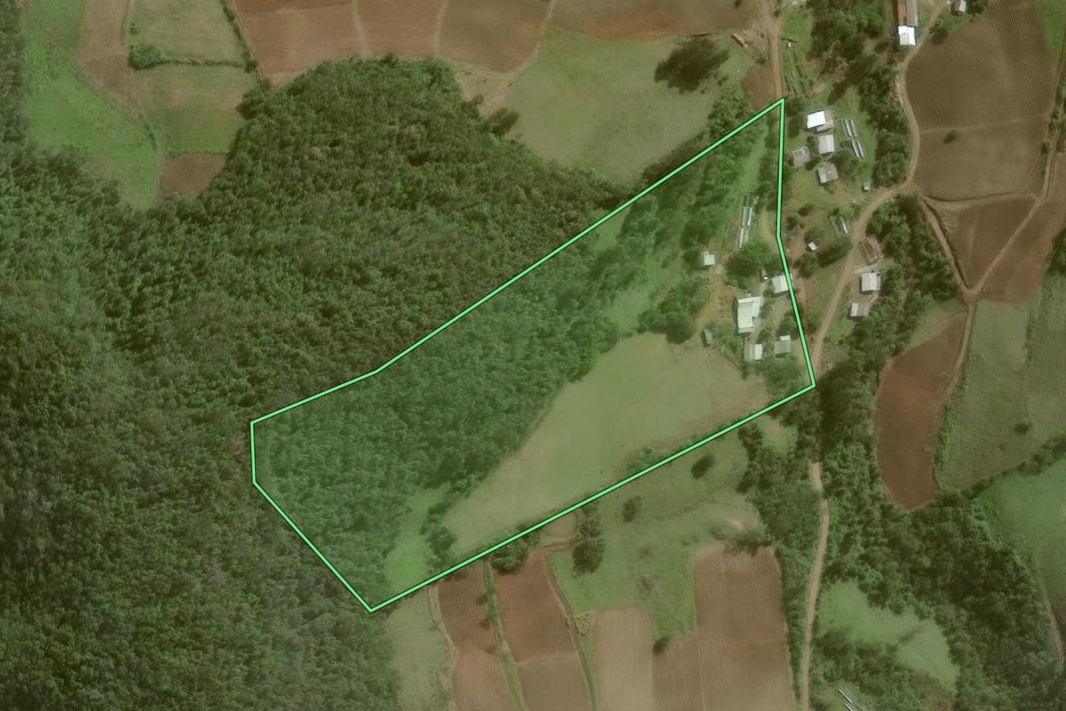 Imagem de satélite do imóvel rural em Arroio do Tigre (RS), com o contorno declarado no CAR desenhado por cima.