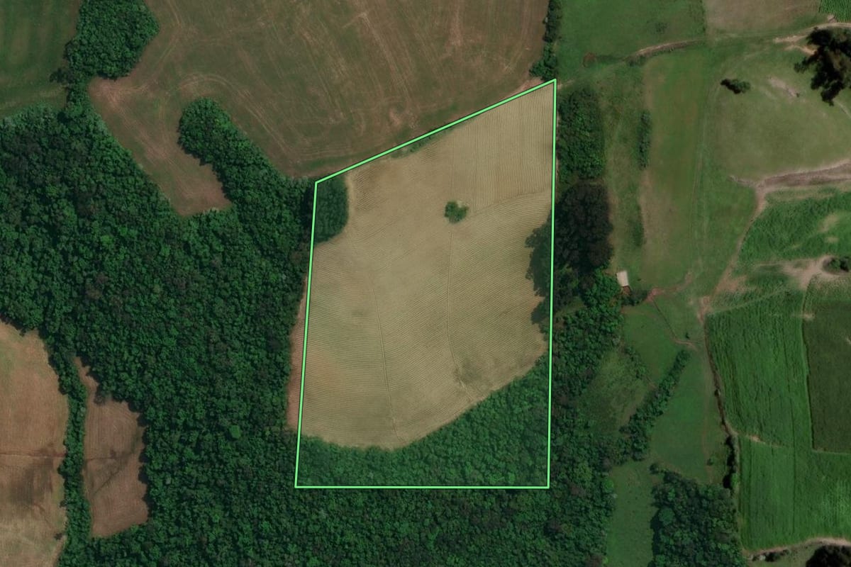 Imagem de satélite do imóvel rural em Arroio do Tigre (RS), com o contorno declarado no CAR desenhado por cima.