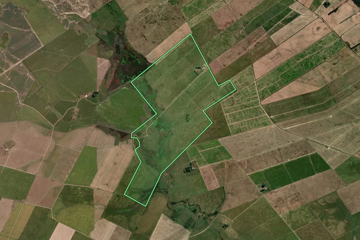 Imagem de satélite do imóvel rural em Arroio Grande (RS), com o contorno declarado no CAR desenhado por cima.
