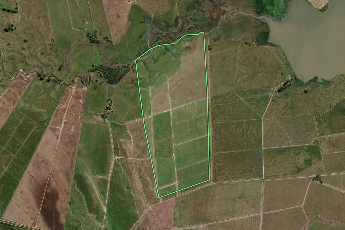 Imagem de satélite do imóvel rural em Arroio Grande (RS), com o contorno declarado no CAR desenhado por cima.