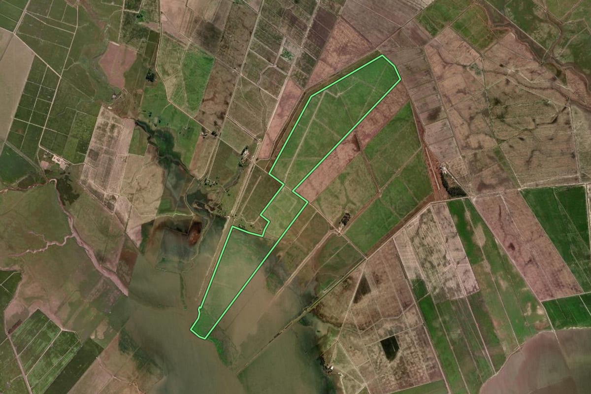 Imagem de satélite do imóvel rural em Arroio Grande (RS), com o contorno declarado no CAR desenhado por cima.