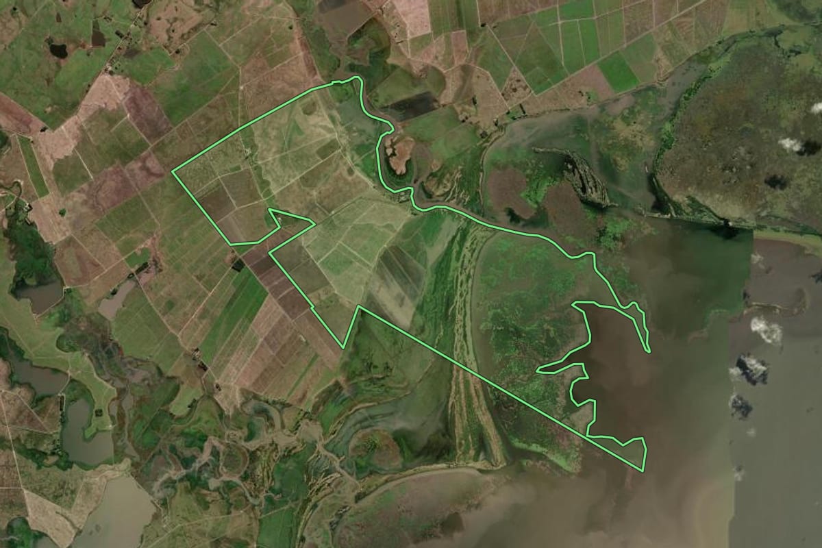 Imagem de satélite do imóvel rural em Arroio Grande (RS), com o contorno declarado no CAR desenhado por cima.