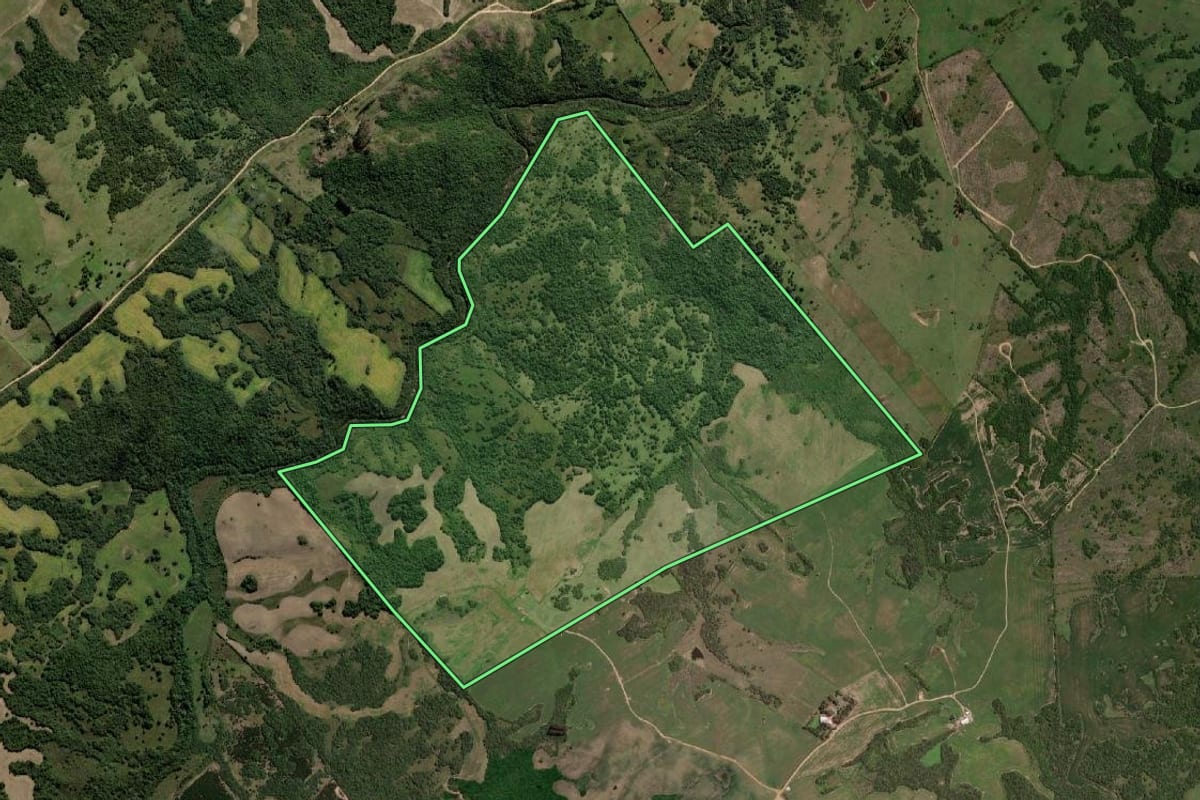 Imagem de satélite do imóvel rural em Arroio Grande (RS), com o contorno declarado no CAR desenhado por cima.